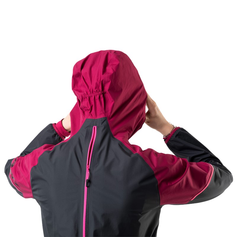 DYNAFIT Alpine GORE-TEX Jacket Women Beet red