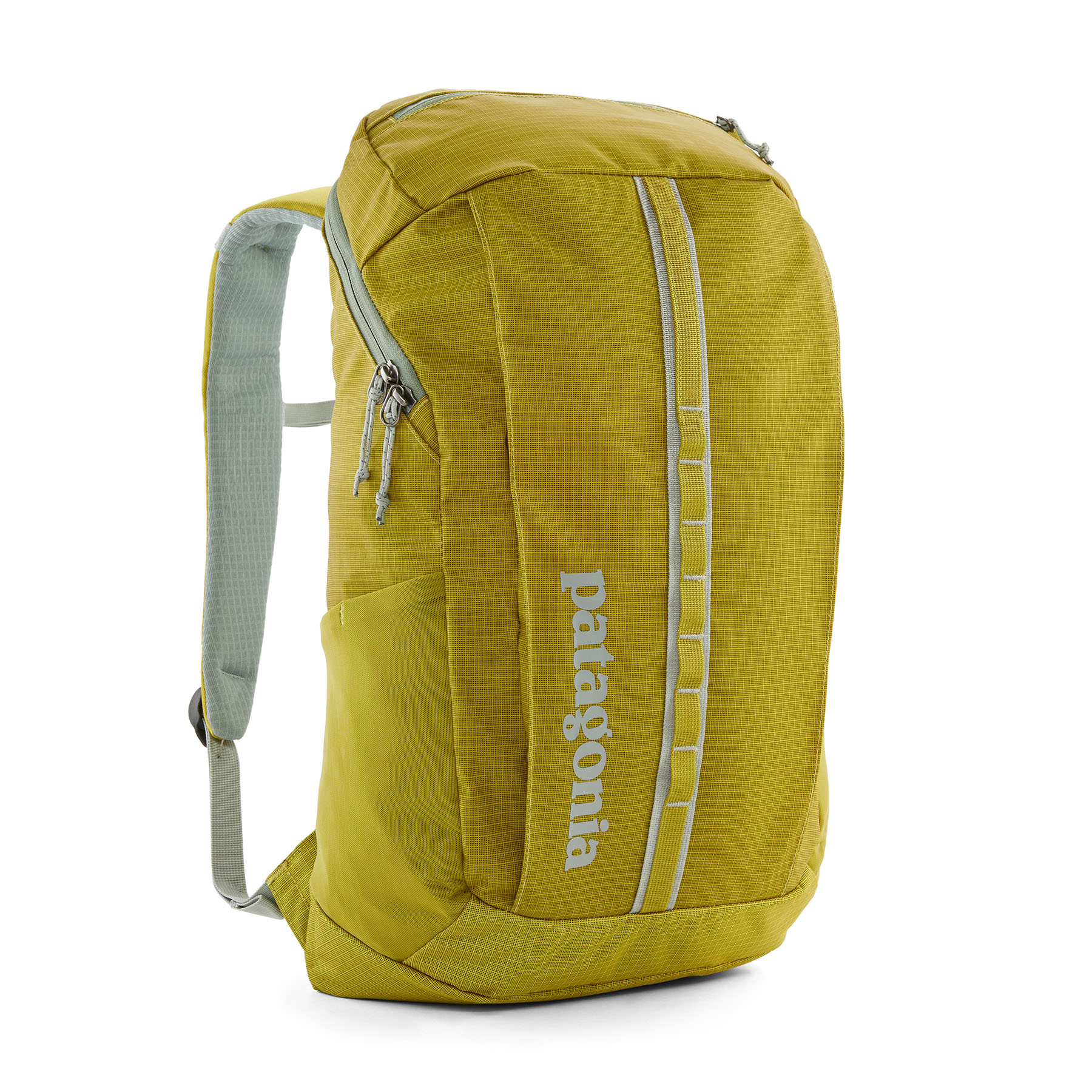 PATAGONIA Black Hole® Pack 25L Shrub Green