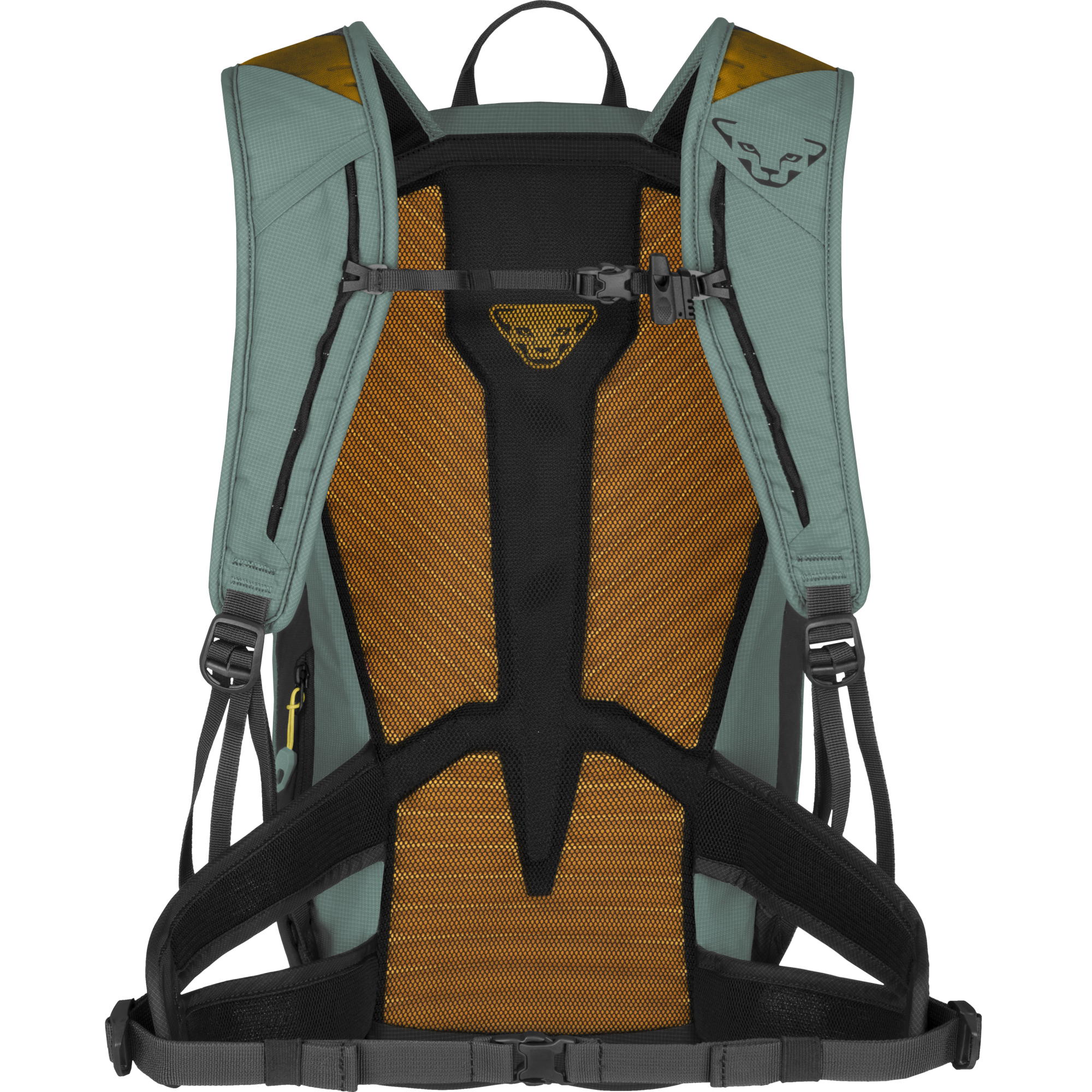 DYNAFIT Transalper 24 Backpack Unisex Atlantic / Black Out