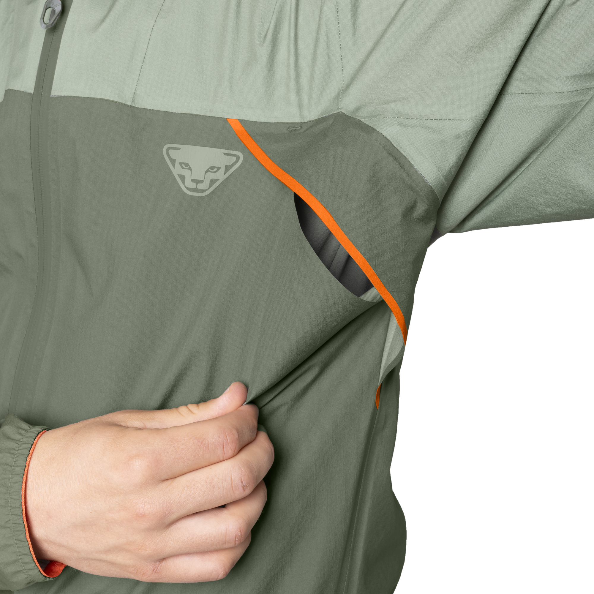 DYNAFIT Alpine 3-Lagen Jacket Men Sage