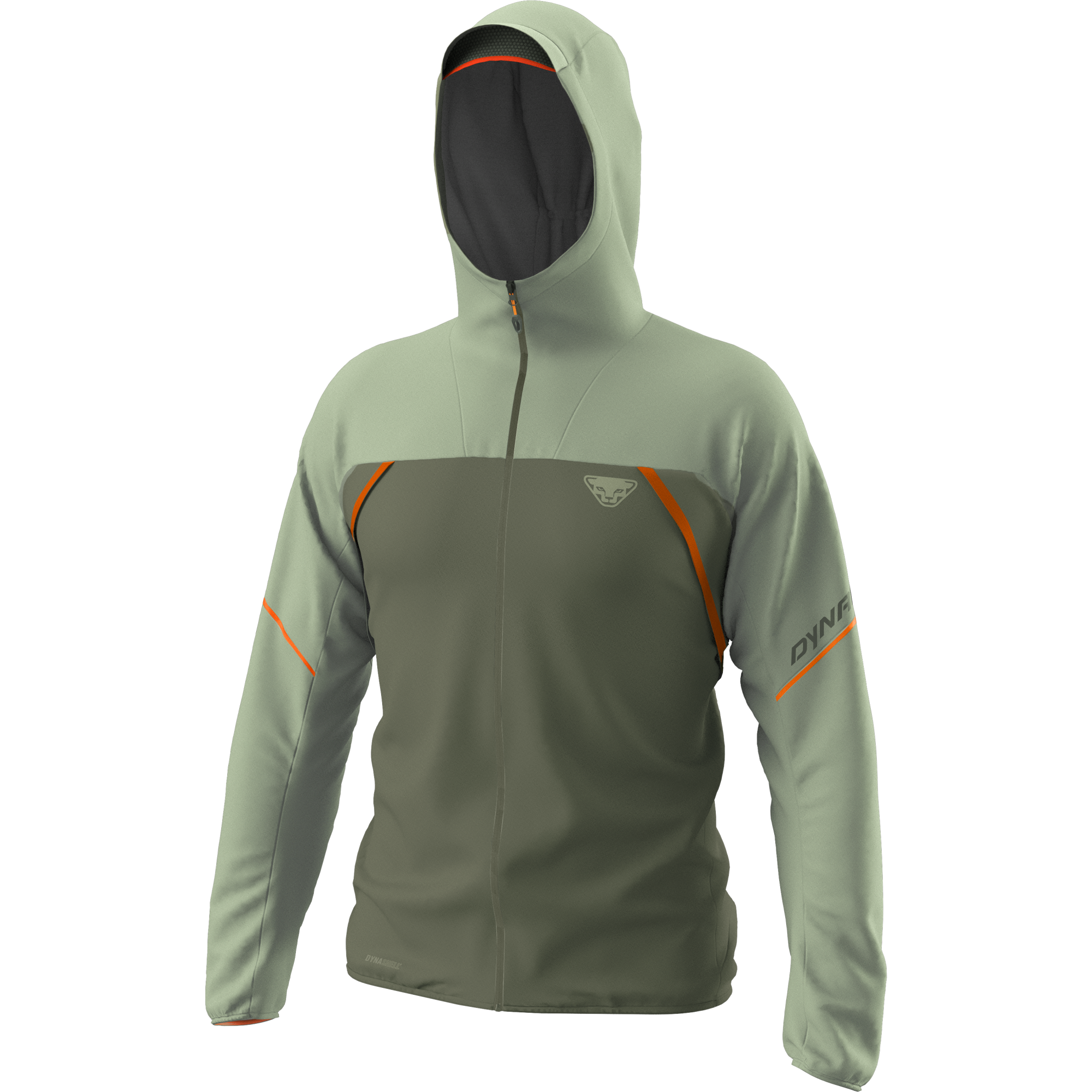DYNAFIT Alpine 3-Lagen Jacket Men Sage