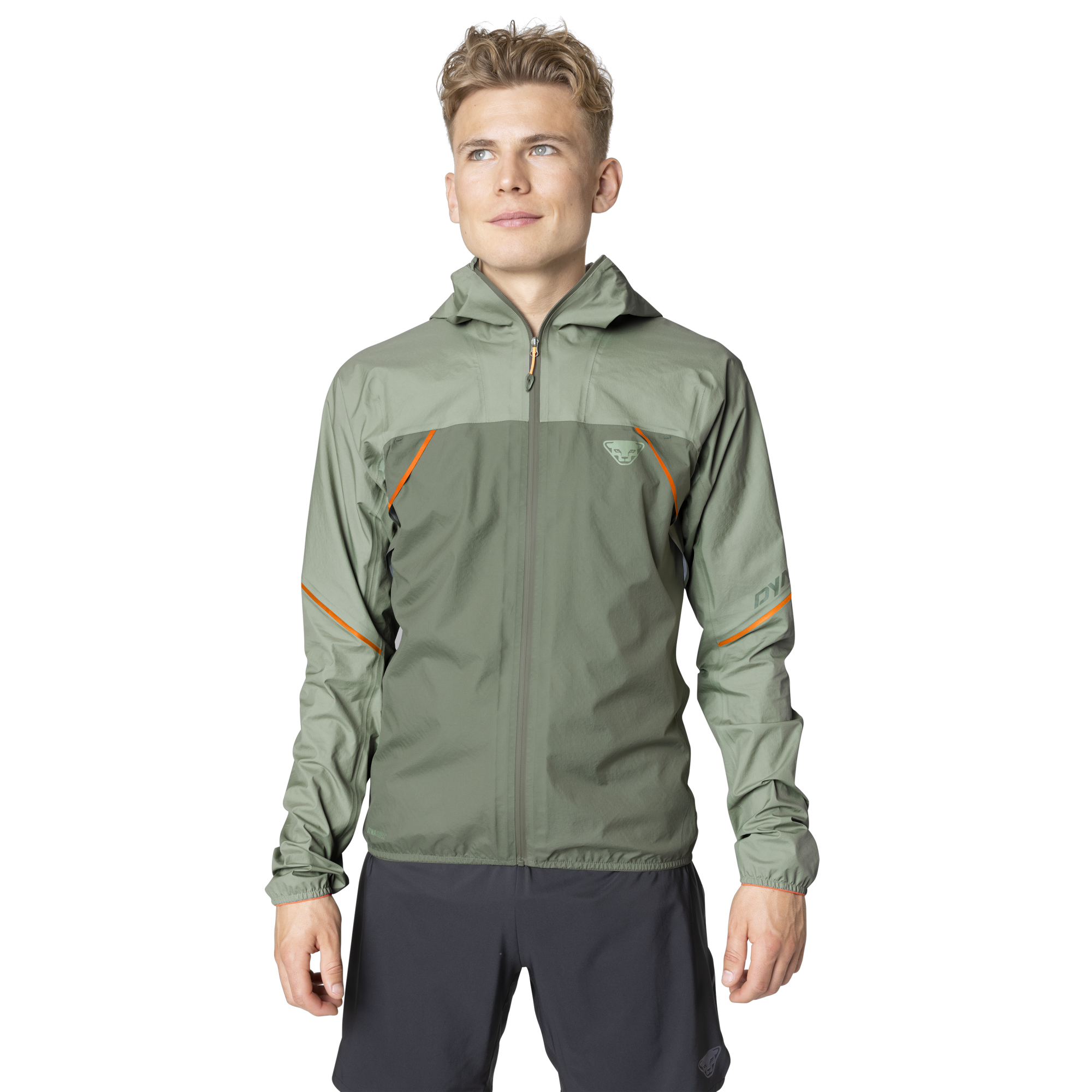 DYNAFIT Alpine 3-Lagen Jacket Men Sage