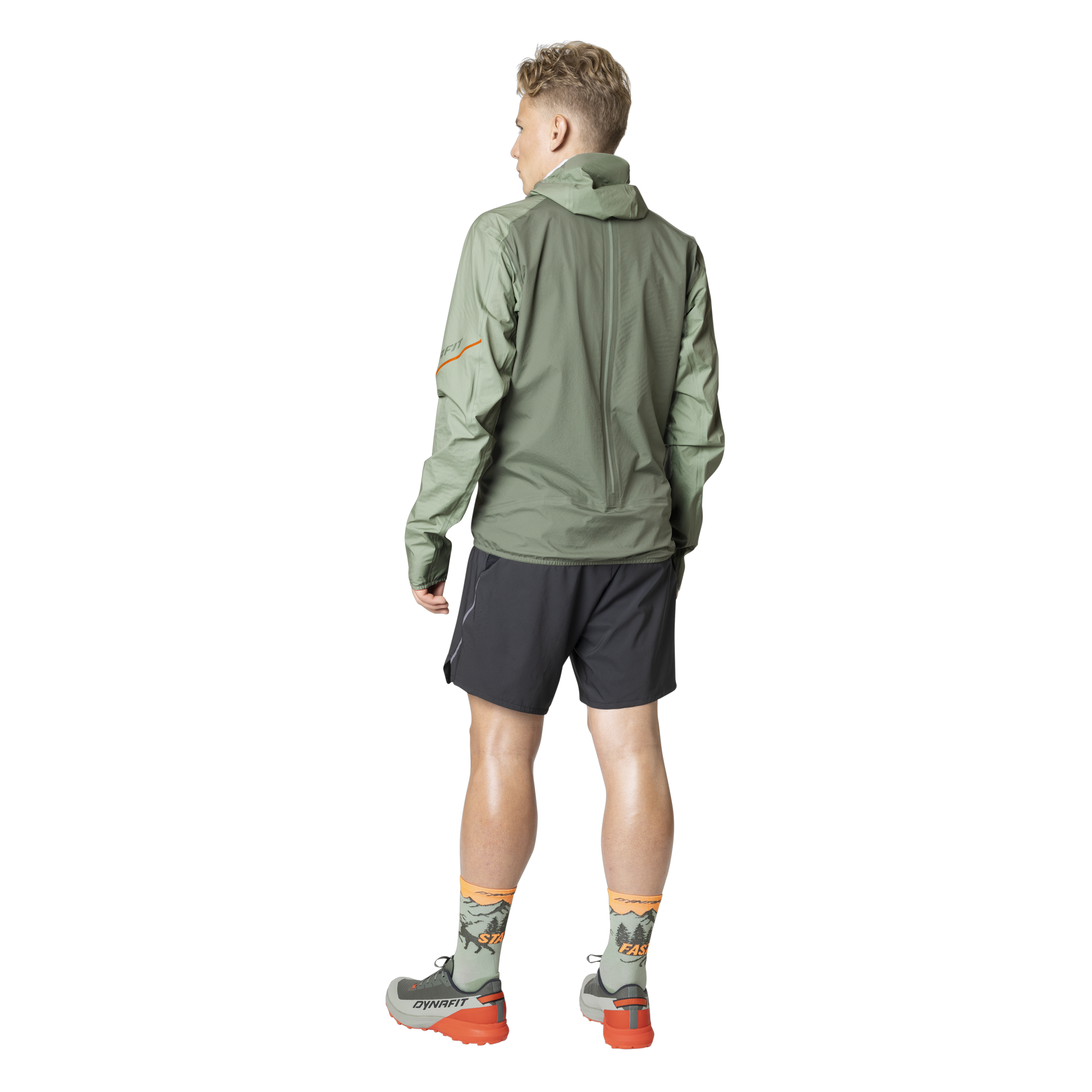 DYNAFIT Alpine 3-Lagen Jacket Men Sage