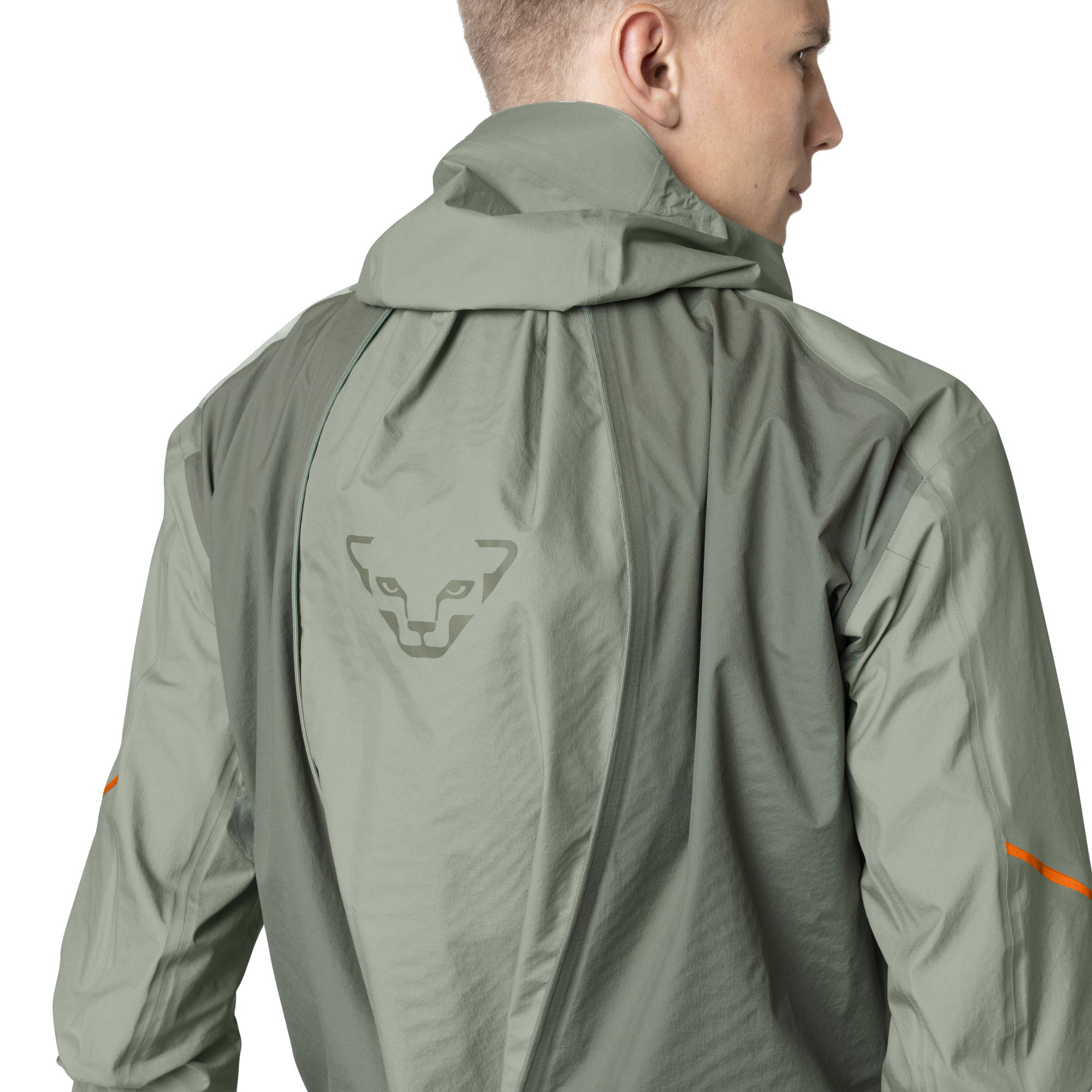 DYNAFIT Alpine 3-Lagen Jacket Men Sage
