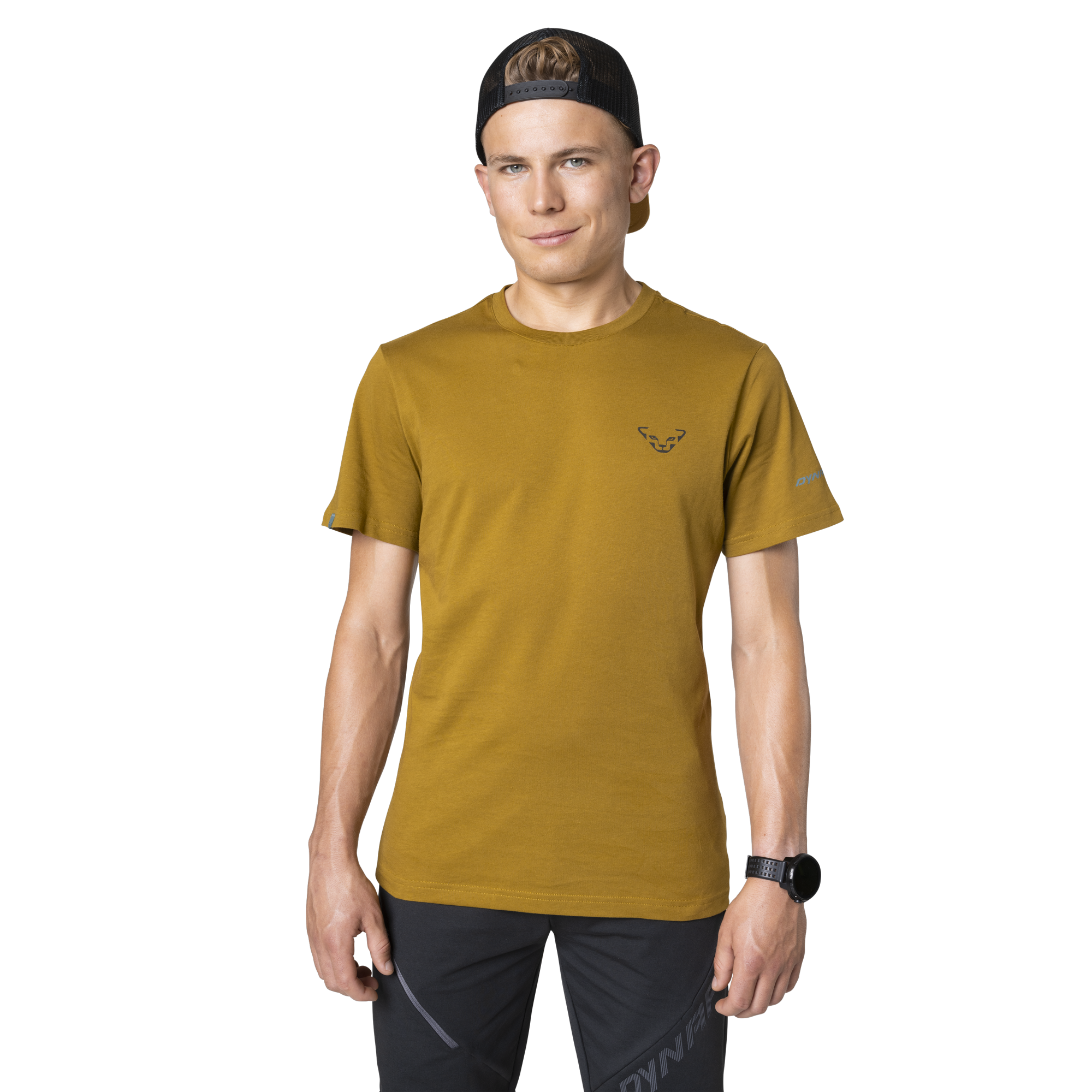 DYNAFIT 24/7 Graphic T-Shirt Men Relic / Striped Elevation