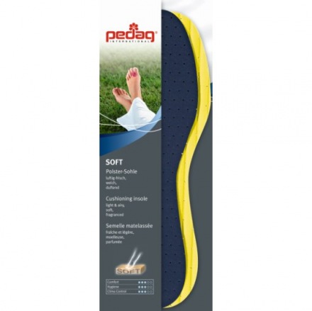 PEDAG Soft