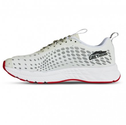 Salming Greyhound Women White/White