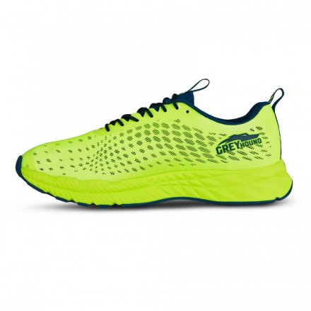 Salming Greyhound Men Safety Yellow/Poseidon Blue