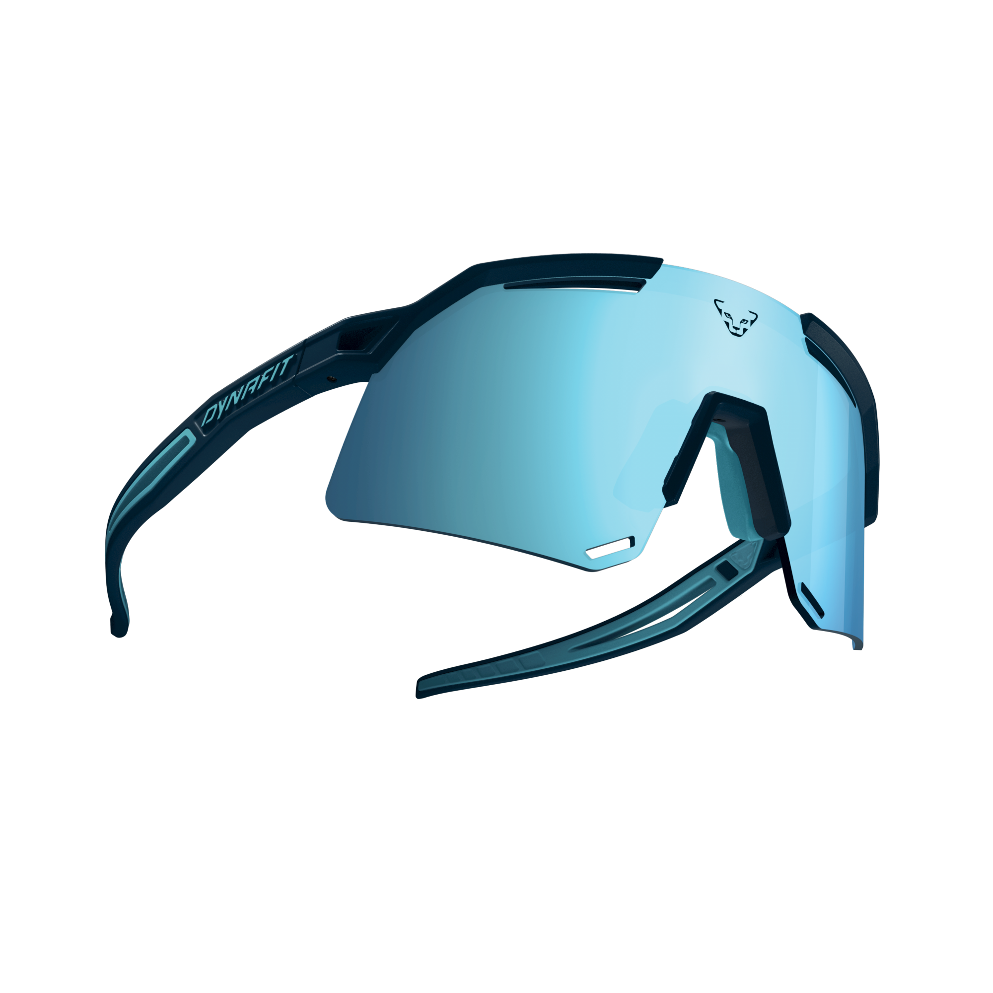 DYNAFIT Ultra Evo Unisex Sluneční Brýle Blueberry/Storm