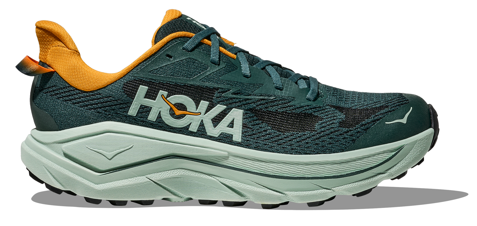 HOKA Challenger 8 M Bay leaf / Sage