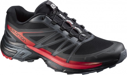 salomon wings pro 2