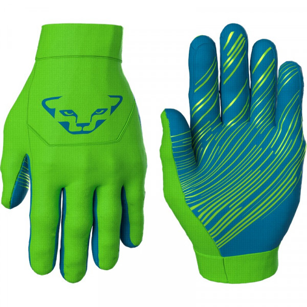 DYNAFIT Upcycled Thermal Gloves Pale Frog
