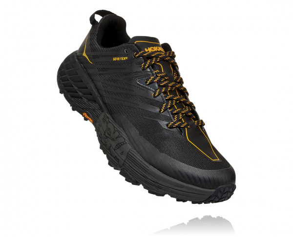 HOKA SPEEDGOAT 4 GORE-TEX ANTHRACITE / DARK GULL GREY
