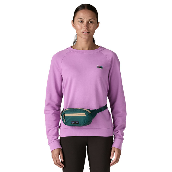 PATAGONIA Terravia Mini Hip Pack 1L Cascade Green
