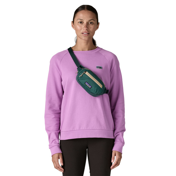 PATAGONIA Terravia Mini Hip Pack 1L Cascade Green