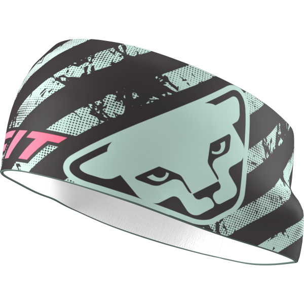 DYNAFIT Graphic Performance Headband Jadelite / Trail