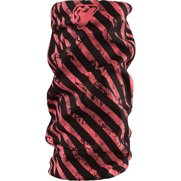 DYNAFIT Logo Neck Gaiter Cabana / Trail